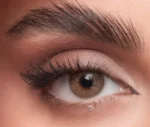 ⁦إيليت ألموند⁩ - الصورة ⁦2⁩