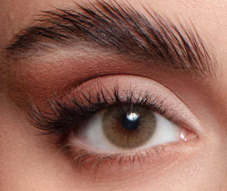 Élite Caramel colored contact lens on the eye